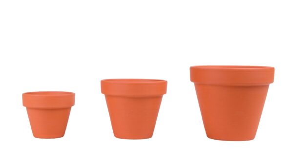 Terracotta Plant Pots - Set of 3, Assorted Sizes